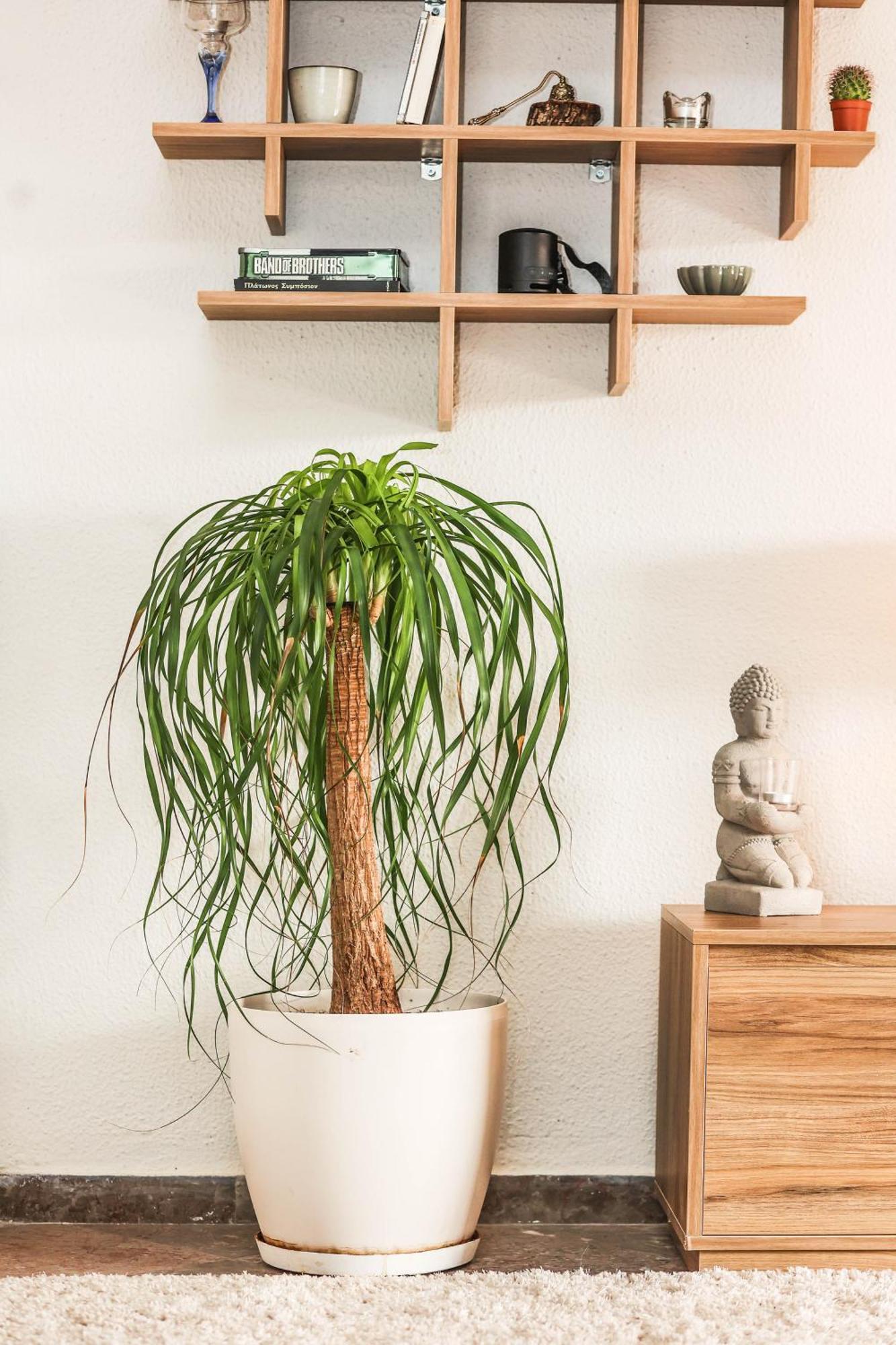 Apartament Suburban Casa Mantouki Zewnętrze zdjęcie